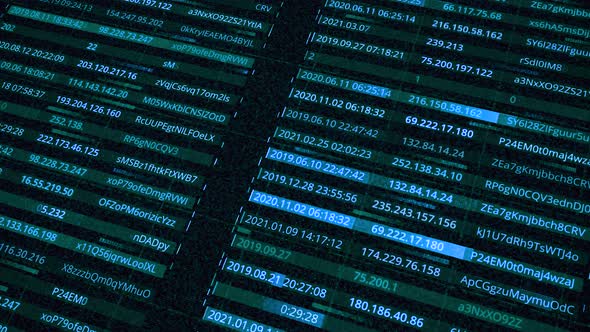 Data with passwords and IP addresses of network