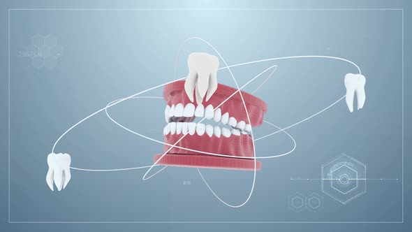 Oral Tooth Rotation Back Ground