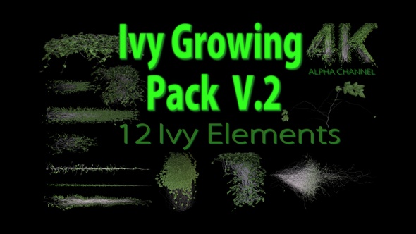 Ivy Growing Pack 4 K V2 alt
