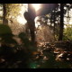 Forest trail run - VideoHive Item for Sale