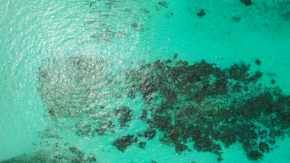 Aerial top view texture of luxury resort beach adventure by transparent sea and clean sandy backgrou