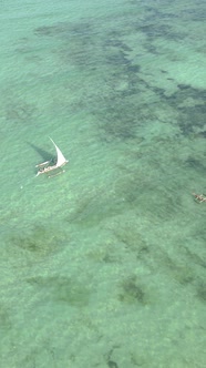 Boat Boats in the Ocean Near the Coast of Zanzibar Tanzania Slow Motion Vertical Video