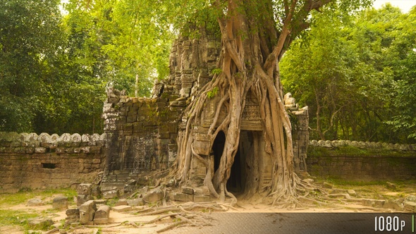 Overgrown Tree at Ta Som Temple, Angkor, Siem Reap, Cambodia