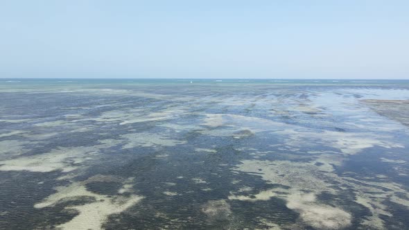 Shore of Zanzibar Island Tanzania at Low Tide