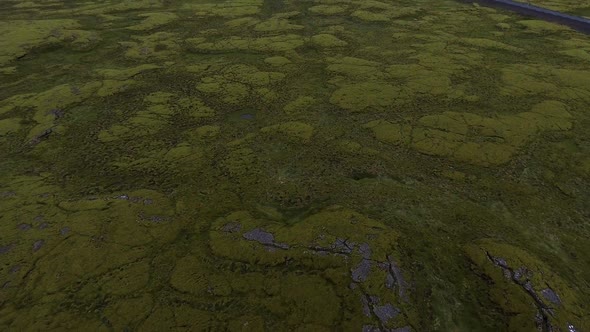 Aerial View of Mossy Lava Field in Iceland