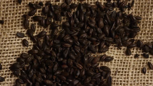 Rotating shot of barley and other beer brewing ingredients 