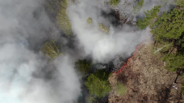 Epic Aerial View of Smoking Wild Fire