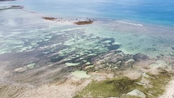 Aerial drone of fishermen foraging for seafood at low tide with stunning crystal clear water, coral