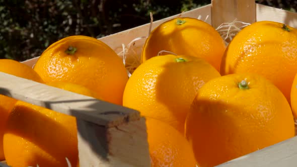 Hand Takes Ripe Juicy Orange From a Wooden Box