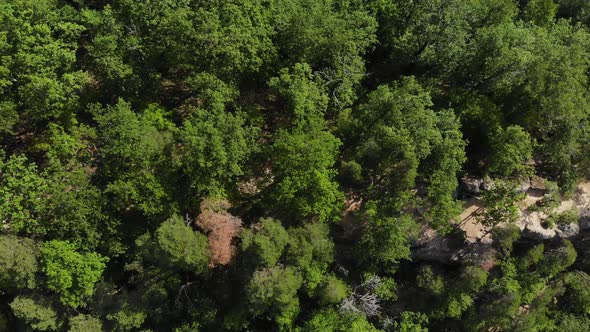 Aerial view of the beautiful forest and rocks in sunny day.