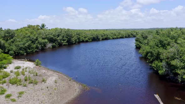 Important biodiversity hotspot of mangrove forest in San Pedro De Macoris