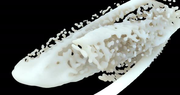 Milk Jet Splash on Black alt