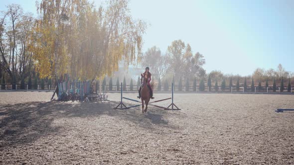 Young Caucasian Girl in Pink Clothes and Horse Riding Helmet Jumps the Barrier on Graceful Brown