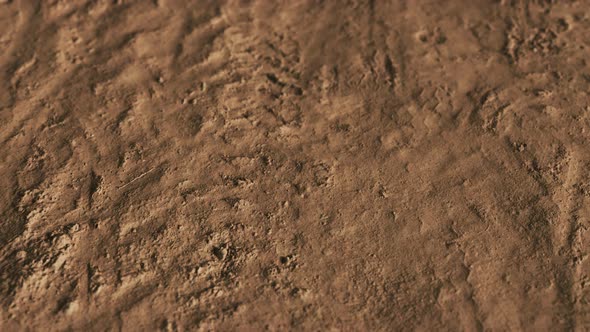 Wheel Tracks on Rough Road