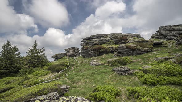 Time lapse of beautiful nature in the Czech Republic 