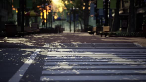 Empty City Park During the Covid 19 Pandemic