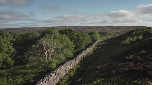 Drystone wall marking the boundary between open moorland and woodland and fields below - Fryupdale i