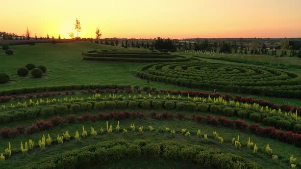 Scenic Landscape of Beautiful Summer Park Dobropark at Sunrise Motyzhyn Ukraine