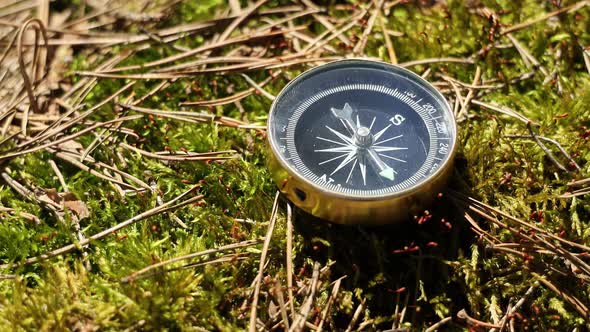 Traveller Compass on the Grass in the Forest