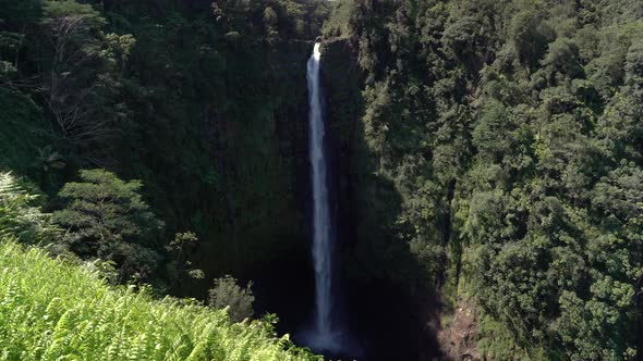 Akaka Falls from top to bottom flowing a good amount of water