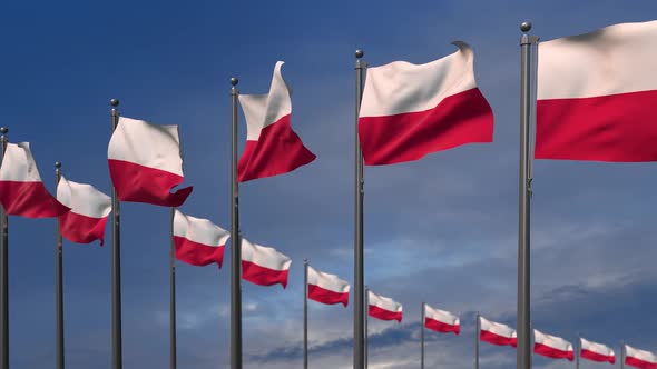 The Poland Flags Waving In The Wind  2K