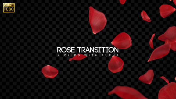 Rose Transitions