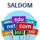 Saldom - Domain Sale And Auction HTML Templates - ThemeForest Item for Sale