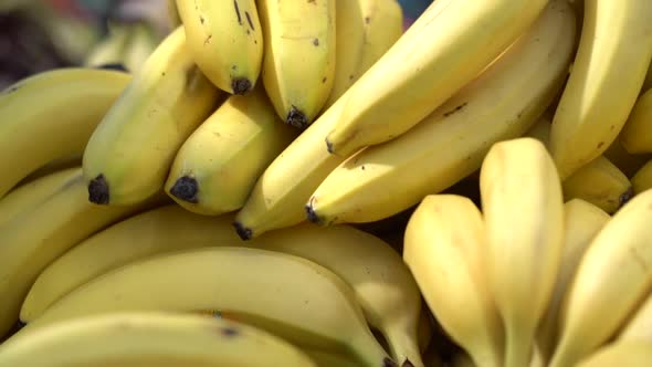 Close Up of Bananas