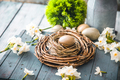Easter eggs - PhotoDune Item for Sale