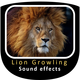 Lion Growling Sounds