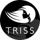 Triss - Beauty Cosmetics Shop - ThemeForest Item for Sale