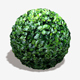 Holly Bush Seamless Texture - 3DOcean Item for Sale