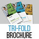 Trifold Brochure Template - GraphicRiver Item for Sale