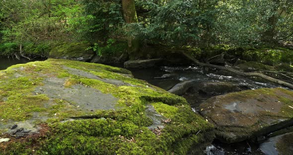 Gorge of Daoulas, Cotes d Armor department, Brittany in France