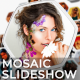 Mosaic Slideshow Reveal Toolkit - VideoHive Item for Sale