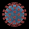 Coronavirus Respiratory Infections Viruses Mutation Clipping Path - PhotoDune Item for Sale