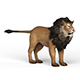 Lion - 3DOcean Item for Sale