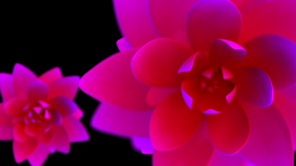 Abstract 3d Flower Loop