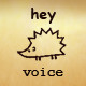 Hey