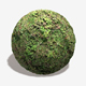 Weedy Bramble Ground Seamless Texture - 3DOcean Item for Sale