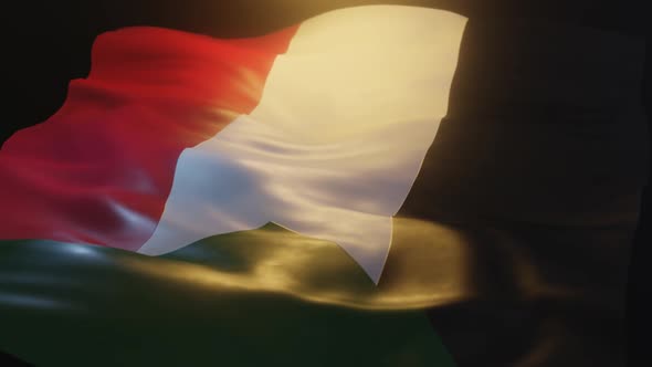 Sudan Flag Low Angle View