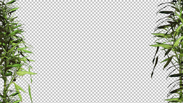 Bamboo Leaf Vertical Border Frame alt