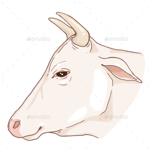Cartoon Cow Head