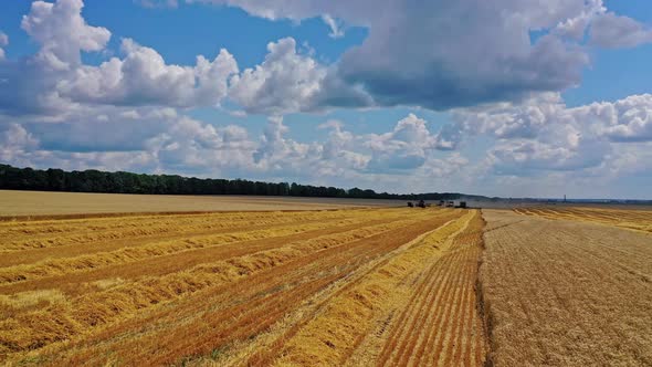 Flying over the field during harvesting