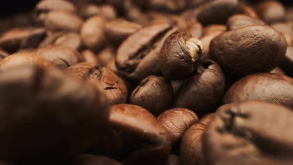 Rotating Coffee Bean. Macro View.