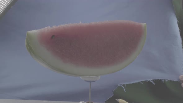 Watermelon Rotating with Loop on Blue Screen for Chroma Key