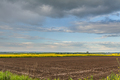 Agricultural Growth -Various Fields - Agriculture Farming Field - PhotoDune Item for Sale