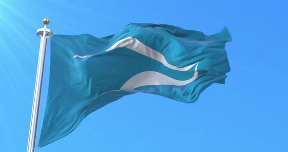 Neuquen City Flag, Argentina