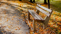 autumn golden leaves and empty park bench - PhotoDune Item for Sale