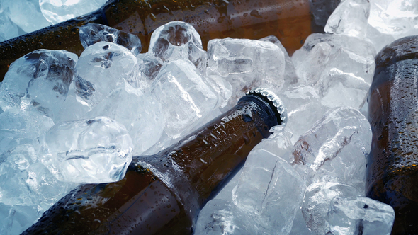 Beers Chilled In Lots Of Ice Cubes